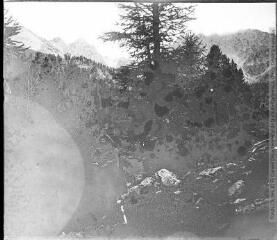 Bois de l’Orceirette avec vue sur le pic (des) Chalanches et la crête de Maravoise. 2 août 1905.