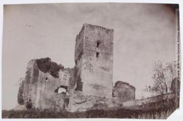 Les Hautes-Pyrénées. Capvern-les-Bains ses environs : les oubliettes du château de Mauvezin XIIIe siècle. - Toulouse : maison Labouche frères, [entre 1900 et 1920]. - Photographie