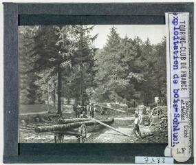Exploitation de bois : Schlucht : sapins et hêtres / photographie Touring-Club de France. - [entre 1900 et 1920].