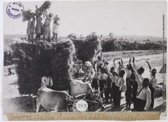 En Italie : la première moisson des Marais Pontins : les paysans fêtent la première récolte / photographie Agence photographique Voir, Paris. - 27 juillet 1936. - Photographie