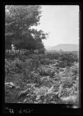 Plaine de Burguete, depuis le sud vers la frontière, le nord. - 9 octobre 1930.