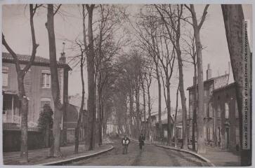 Mazamet : avenue de Carcassonne / photographie Henri Jansou (1874-1966). - Toulouse : maison Labouche frères, [entre 1900 et 1940]. - Photographie