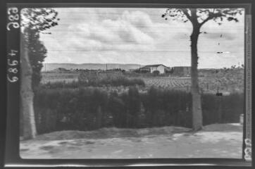 [Aude, Hérault : paysage viticole]. - [années 1940].