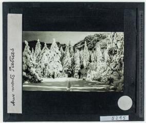 Aux monts Tatras [reproduction d'une carte postale]. - [entre 1920 et 1940].
