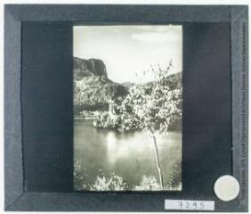 Lac de Bled (Tyrol yougoslave). - [entre 1900 et 1920].