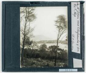 Du Mont Boron [parc forestier, Nice] vers Villefranche-sur-Mer : pin d'Alep / cliché Henri Gaussen. - 11-14 avril 1936.