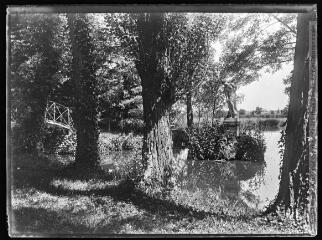Parc de la propriété des Sarraute. - [entre 1890 et 1920]. - Photographie