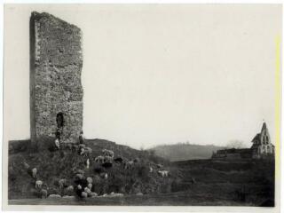 Salies-du-Salat : troupeau de moutons devant les vestiges du château des comtes de Comminges (donjon) et au fond, ancienne chapelle. - [entre 1920 et 1950]. - Photographie