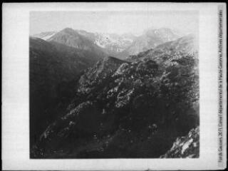 Vue du Planel de Brouchet vers Serrère (2911) / cliché Henri Gaussen. - 21 juin 1912.