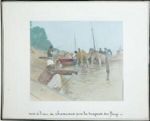 Mise à l'eau de chameaux pour la traversée du fleuve
