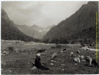 Environs d'Ax-les-Thermes (Ariège) : vallée d'Orlu : une bergère et ses moutons / J.-E. Auclair photogr. - [entre 1920 et 1950]. - Photographie