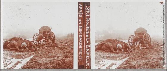 873. Route de La Capelle : après un bombardement, [entre 1914 et 1918]. - Photographie
