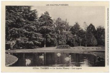 Les Hautes-Pyrénées. 1133 bis. Tarbes : le jardin Massey : les cygnes. - Toulouse : édition Pyrénées-Océan, Labouche frères, [entre 1937 et 1950]. - Carte postale