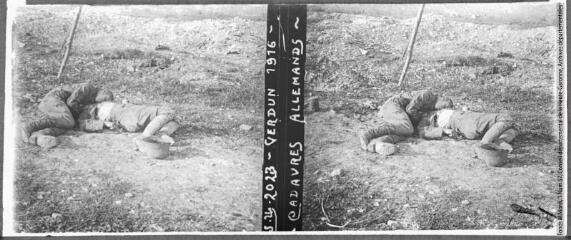 LSU 2023. Verdun : cadavres allemands. - Paris : La Stéréoscopie Universelle, 1916. - Photographie