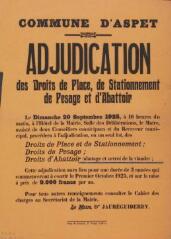 Commune d'Aspet, adjudication des droits de place, de stationnement, de pesage et d'abattoir. [1925]. Soueich : Imp. P. Vaqué.