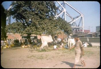 A 1424-1433. Calcutta (Bengale-Occidental) : bords du Gange.