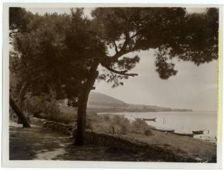 Sète (Hérault) : la baie (pins maritimes et barques) / J.-E. Auclair photogr. - [entre 1920 et 1950]. - Photographie