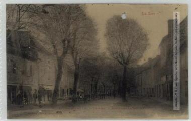 Le Lot. 445. Vallée du Lot. Cajarc : boulevard de l'Ouest. - Toulouse : phototypie Labouche frères, [entre 1905 et 1925]. - Carte postale