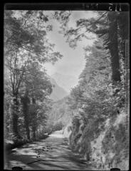 Luchonnais : route entre Castelvieil et Ravi, replat après Castelviel ; vue prise en direction du Sacroux. A travers la forêt de Luchon. - octobre 1936.
