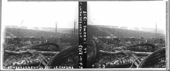 LSU 2033. Bombardement du bois Le Chaume. - Paris : La Stéréoscopie Universelle, 1917. - Photographie