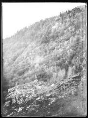 Expérience de descente de bois par câble / photographie Bauby. - 1906. - Photographie