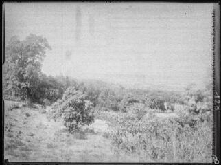 Argens vu des coteaux de Lézignan (les bois) (d'après Henri Gaussen) / cliché Henri Gaussen. - août 1915.