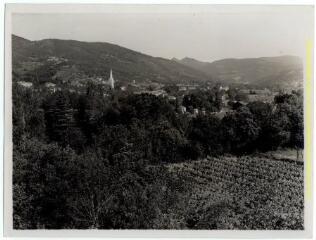 Lamalou-les-Bains (Hérault) : village dans un paysage de vignes / J.-E. Auclair photogr. - [entre 1920 et 1950]. - Photographie