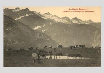 La Haute-Garonne. Luchon : pâturages du Campsaure / photographie B. Cantaloup. - [s.l.] : [s.n.], [entre 1905 et 1930] - Carte postale