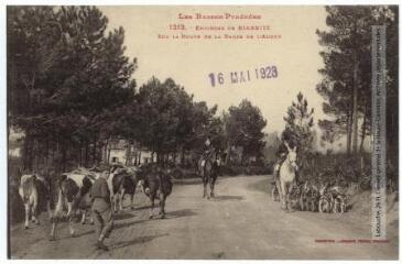 Les Basses-Pyrénées. 1313. Environs de Biarritz sur la route de la Barre de l'Adour. - Toulouse : phototypie Labouche frères, [entre 1918 et 1937], tampon d'édition du 16 mai 1923. - Carte postale