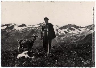 61. Luchon (Haute-Garonne) : un pâtre sur le plateau de Superbagnères, au fond, cirque du Lys. - Toulouse : éditions Pyrénées-Océan, Labouche frères, marque Elfe, [entre 1950 et 1960]. - Carte postale