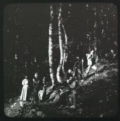[Cierp-Gaud] (environs) : [randonneurs dans une] forêt de hêtres. - [1908 ?]. - Photographie