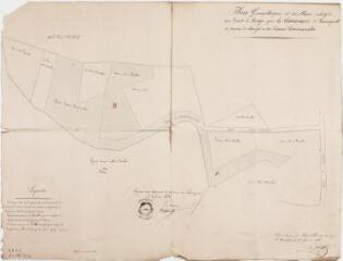 Plan géométrique et parcellaire relatif à un droit de pacage que la commune de Launaguet se propose de changer à ses prairies communales. Pierre Julia. 3 février 1856. Ech. 0,001 p.m.