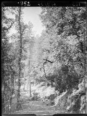 Arques, Rialsesse, construction de la route forestière. - 6 septembre 1937.
