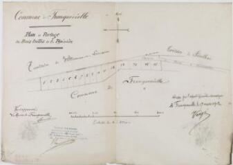 Commune de Franquevielle, plan et partage du bois taillis de la Pépinière. Jean-Casimir Vergé, géomètre. 17 mars 1902. Ech. 1/2500.