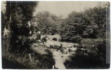 La Montagne Noire. 238. Arfons (Tarn) : le lavoir / [photographie Henri Jansou (1874-1966)]. - Toulouse : phototypie Labouche frères, marque LF au verso, [entre 1911 et 1925], tampon d'édition du 12 avril 1917. - Carte postale