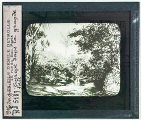 Madagascar : torrent dans la grande forêt. - Projections Deyrolle, [entre 1900 et 1920].