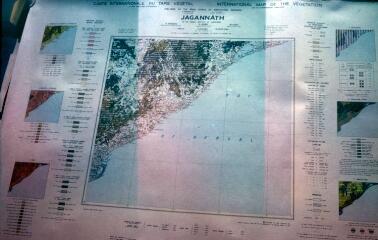 Carte internationale du tapis végétal de Jagannath (Inde).