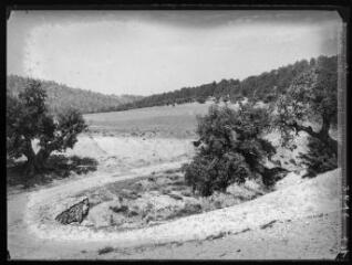 [Algérie : plantations d'arbres]. - 29 avril 1948.