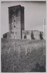 Les Basses-Pyrénées. 1074. Montaner : le donjon du château construit en 1380 par Gaston Phoebus (monument historique). - Toulouse : phototypie Labouche frères, [entre 1905 et 1937], tampon d'édition du 22 mai 1920. - Carte postale