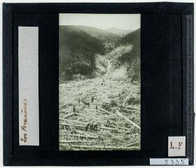Los Arañones. Torrente Lierde : effets désastreux produits par une avalanche [reproduction d'une photographie légendée]. - [entre 1900 et 1940].