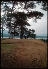 B 4493. Inverness (Ecosse). B 4494-4504. Paysages naturels : Loch, flore. Eilean Donan (île, château) : diapositives éditées.