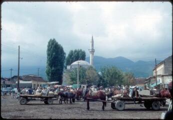 11 vues  - C 3627-3637. Kosovo : forêt, village, maison, mosquée. (ouvre la visionneuse)