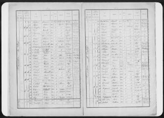 20 vues Commune d'Ayguesvives. 1 F 1.9 : listes nominatives : 1891