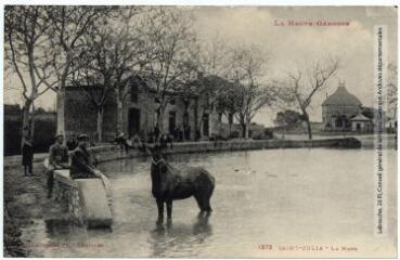 1 vue  - La Haute-Garonne. 1373. Saint-Julia : la mare. - Toulouse : phototypie Labouche frères, marque LF au verso, [1918]. - Carte postale (ouvre la visionneuse)
