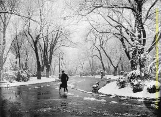 1 vue - Toulouse : promenade au jardin des Plantes sous la neige : homme avec son parapluie dans une allée. - [entre 1900 et 1920]. - Photographie (ouvre la visionneuse)