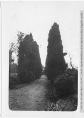 2 vues Ayguesvives : allée du cimetière. - [1930-1940]. - Photographie