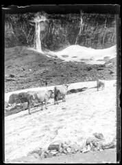 1 vue  - Pont de neige et cascade de Gavarnie. - 2 août 1903. - Photographie (ouvre la visionneuse)