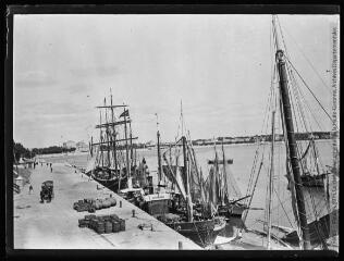 1 vue  - Royan : le port. - août 1906. - Photographie (ouvre la visionneuse)