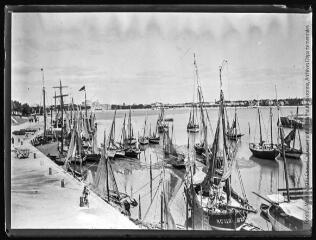 1 vue  - Royan : les bateaux de pêche au port. - 1906. - Photographie (ouvre la visionneuse)