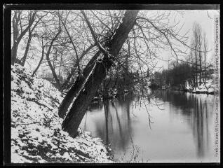 1 vue  - Bord de rivière en hiver. - [entre 1890 et 1920]. - Photographie (ouvre la visionneuse)